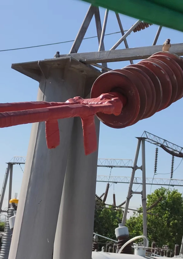 Transformer Bushing Protector Protection on Outdoor High-Voltage Line